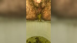 Loud Diarrhea & Steaming Piss, ScatKings.com Scat Porn 15 ScatKings.com Scat Porn